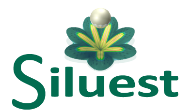 Siluest logo